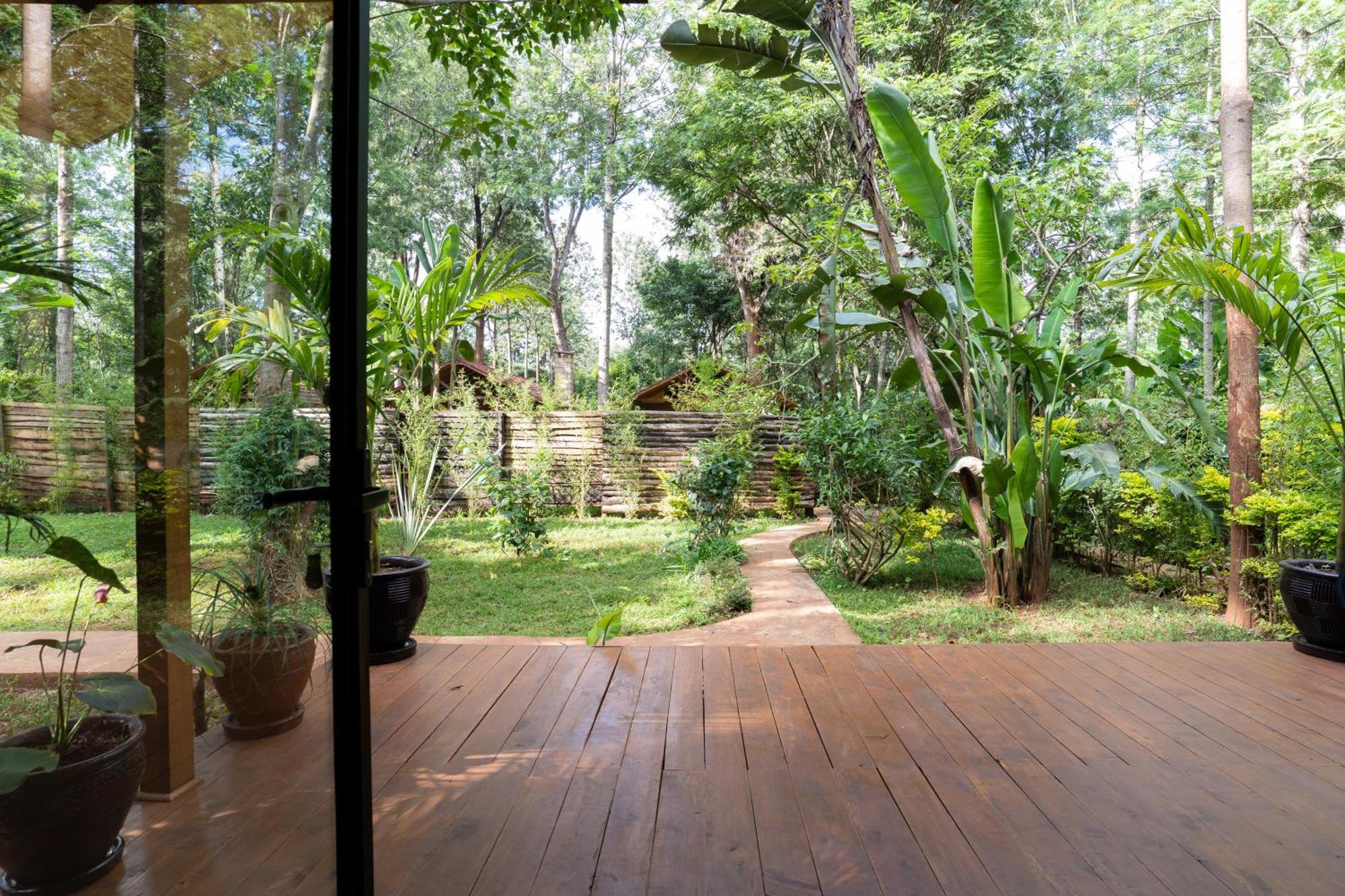 The Jungle Oasis With Heated Pool Apartment Nairobi Exterior photo
